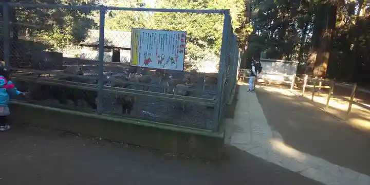 鹿島神宮のその他建物