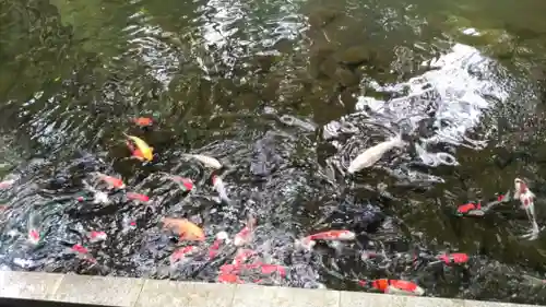青龍山 吉祥寺(群馬県)