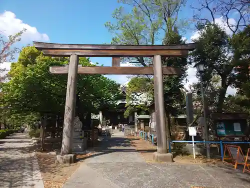 荏原神社の鳥居