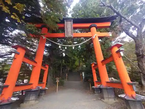 新倉富士浅間神社の鳥居