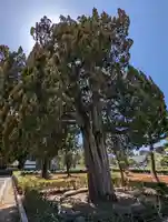 東福禅寺(東福寺)(京都府)