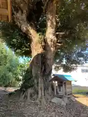 八坂神社(千葉県)