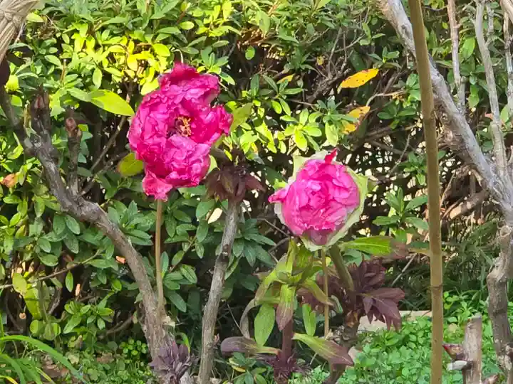 石光寺(奈良県)