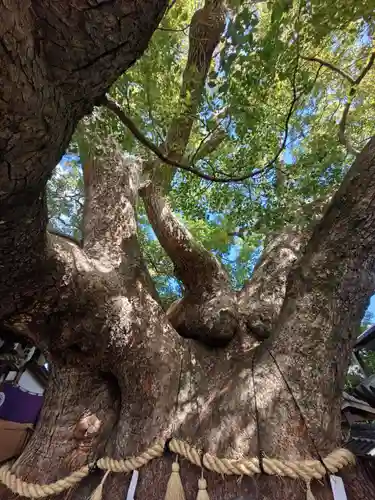 三島神社(大阪府)