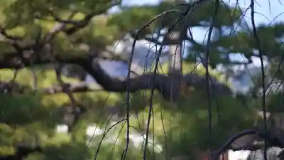 廬山寺(廬山天台講寺)(京都府)