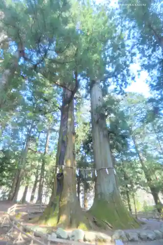 河口浅間神社(山梨県)