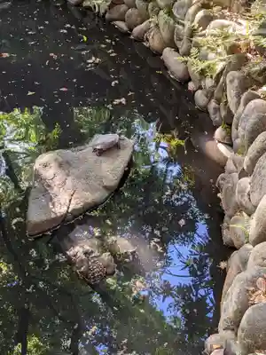 神明社(愛知県)