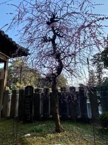 若狭野天満神社(兵庫県)