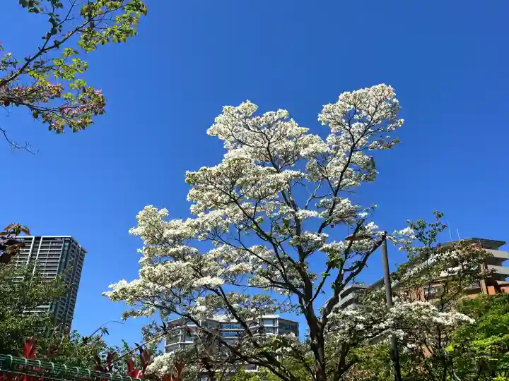 本成寺(大阪府)