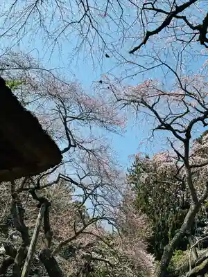 光丸山 法輪寺(栃木県)