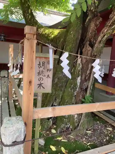 笠間稲荷神社(茨城県)