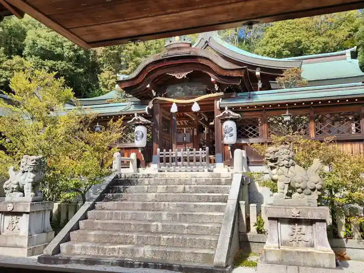 多井畑厄除八幡宮の本殿・本堂