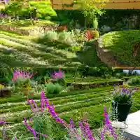 寿量山 速成寺の周辺