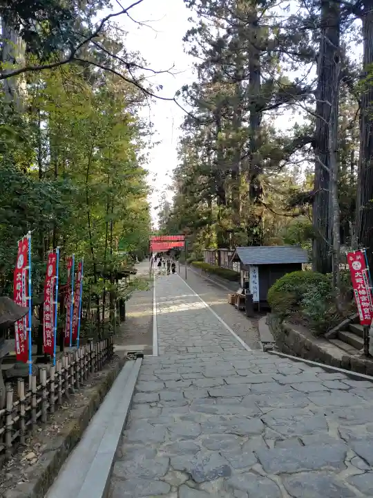 大崎八幡宮の{uncategorized: "未分類", other: "その他", undefined: "問題あり", building: "その他建物", grave: "お墓", sacred_gate: "鳥居", guardian: "狛犬", statue: "像", buddha: "仏像", history: "歴史", nature: "自然", garden: "庭園", animal: "動物", pagoda: "塔", temizu: "手水舎", mountain_gate: "山門・神門", sanctuary: "本殿・本堂", subordinate: "末社・摂社", art: "芸術", scenery: "景色", jizo: "地蔵", ema: "絵馬", goshuin: "御朱印", omikuji: "おみくじ", items: "授与品その他", amulet: "お守り", goshuincho: "御朱印帳", eats: "食事", festival: "お祭り", votive_dance: "神楽", shichigosan: "七五三参", wedding: "結婚式", experience: "体験その他", initially: "初詣", around: "周辺", anti_infection: "感染症対策"}