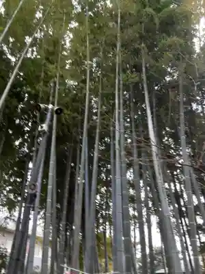 八重垣稲荷神社(東京都)