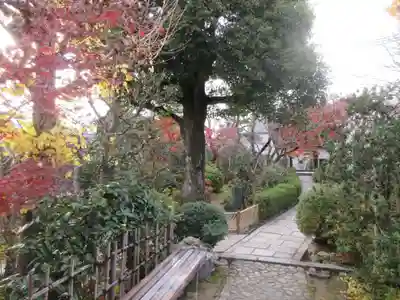 元慶寺(京都府)