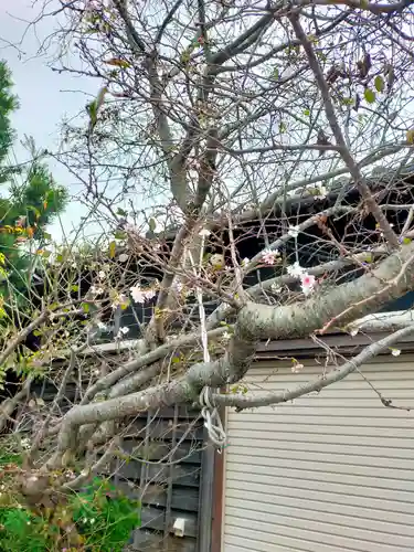 浄福寺(和歌山県)