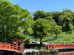 富士山本宮浅間大社(静岡県)