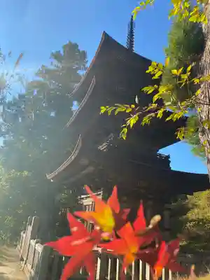 国宝 大法寺の塔