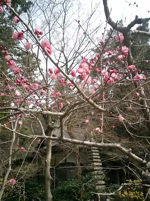 覚園寺のその他建物