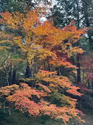 小國神社(静岡県)