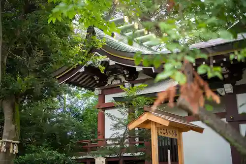 川越八幡宮の本殿