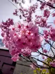 阿邪訶根神社(福島県)