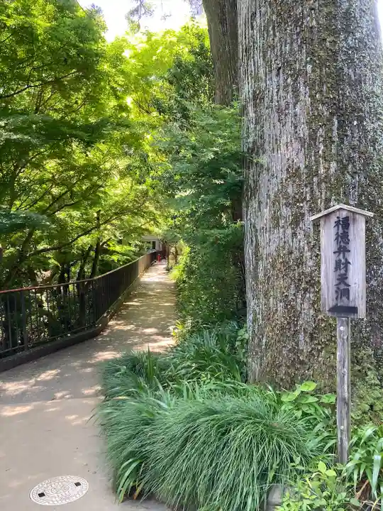 薬王院福徳弁財天洞(東京都)