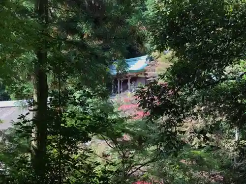 醍醐寺（上醍醐）の本殿・本堂