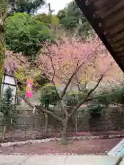 土肥神社(静岡県)