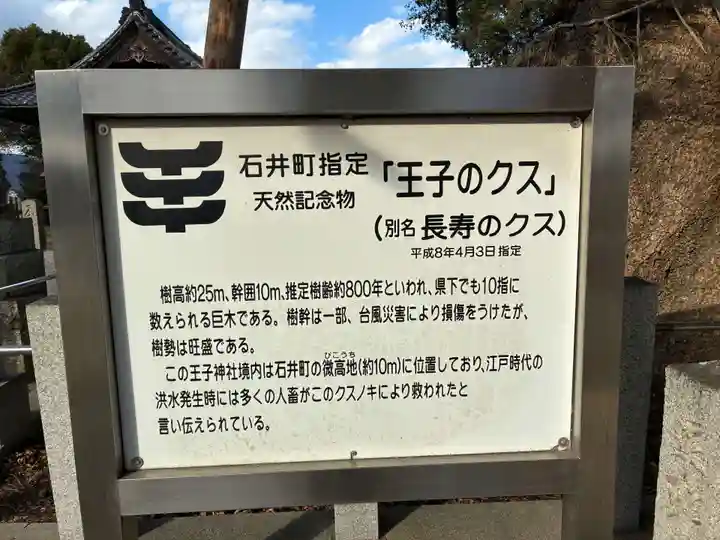 王子神社(徳島県)