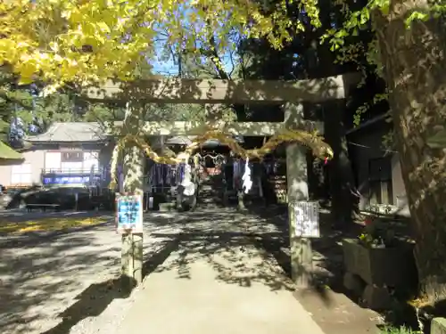 下野 星宮神社の鳥居