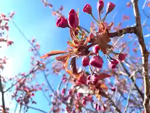 成田山函館別院函館寺(北海道)(2026年04月29日(水) 16時17分26秒投稿)