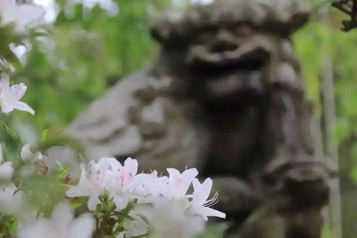 豊景神社の庭園