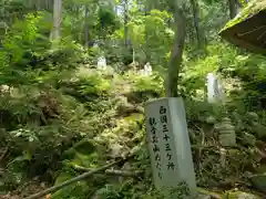 延寿禅寺の建物その他