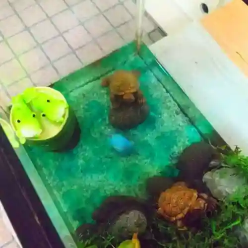 彌彦神社　(伊夜日子神社)の芸術