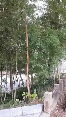 金岡八幡宮の自然