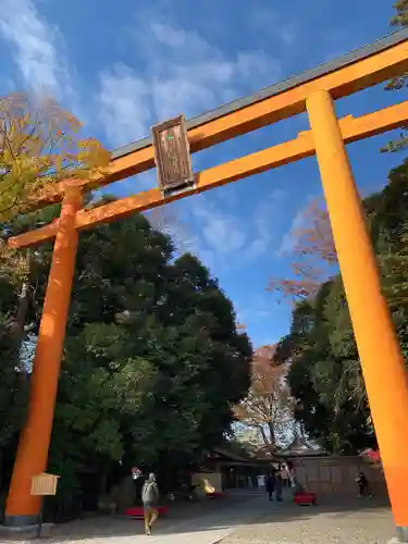 川越氷川神社(埼玉県)