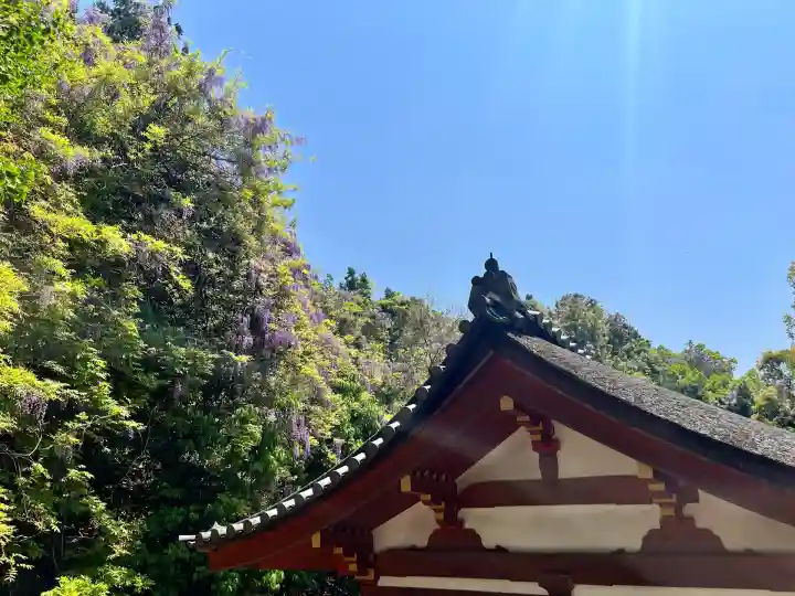 春日大社(奈良県)