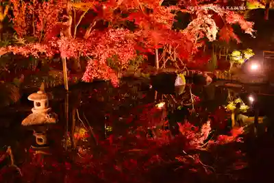 長谷寺(神奈川県)