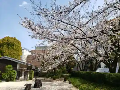 宝仙寺(東京都)