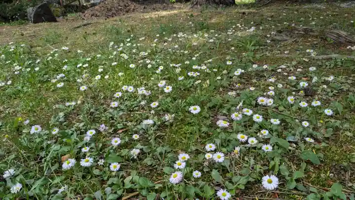 山部神社の自然