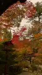 鍬山神社(京都府)