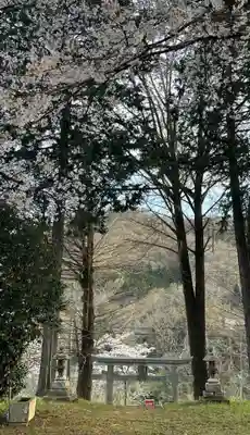 御嶽神社(山梨県)