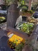 賀茂別雷神社(上賀茂神社)の手水舎