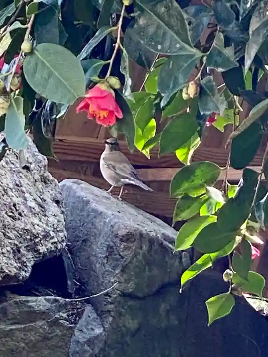 賀茂神社(兵庫県)
