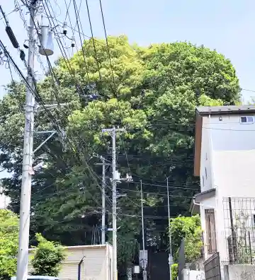 牟礼神明社の{uncategorized: "未分類", other: "その他", undefined: "問題あり", building: "その他建物", grave: "お墓", sacred_gate: "鳥居", guardian: "狛犬", statue: "像", buddha: "仏像", history: "歴史", nature: "自然", garden: "庭園", animal: "動物", pagoda: "塔", temizu: "手水舎", mountain_gate: "山門・神門", sanctuary: "本殿・本堂", subordinate: "末社・摂社", art: "芸術", scenery: "景色", jizo: "地蔵", ema: "絵馬", goshuin: "御朱印", omikuji: "おみくじ", items: "授与品その他", amulet: "お守り", goshuincho: "御朱印帳", eats: "食事", festival: "お祭り", votive_dance: "神楽", shichigosan: "七五三参", wedding: "結婚式", experience: "体験その他", initially: "初詣", around: "周辺", anti_infection: "感染症対策"}