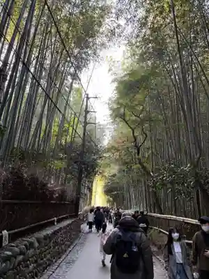 野宮神社(京都府)