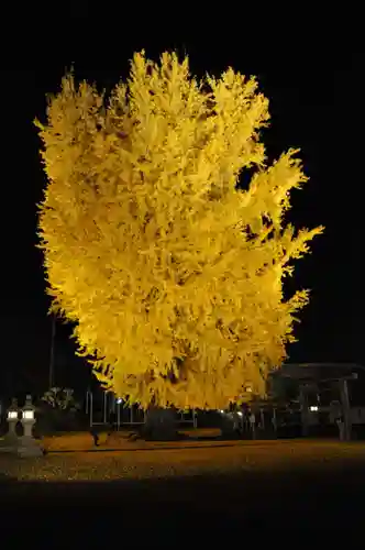 丹生酒殿神社の自然