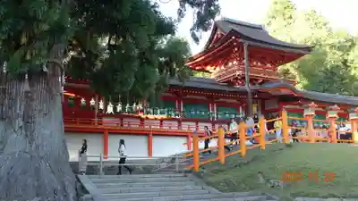 春日大社のその他建物